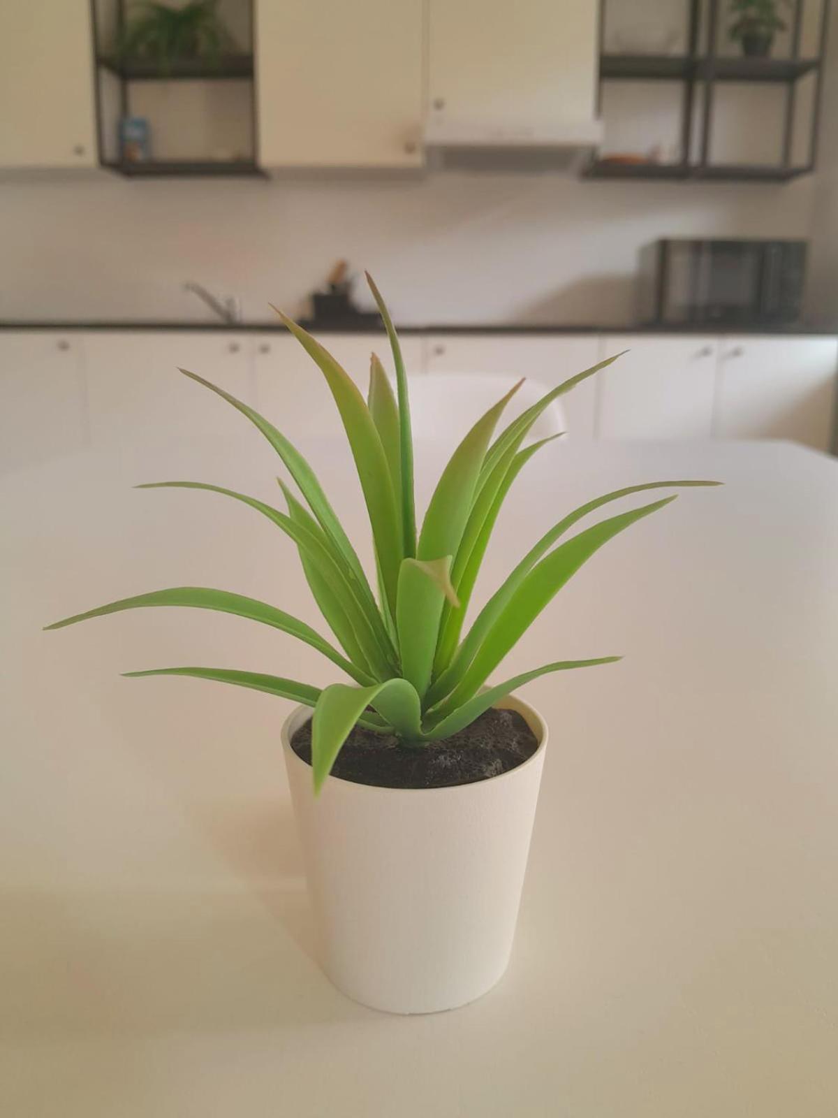 Rooms Miklosiceva Lublana Zewnętrze zdjęcie